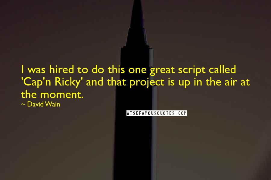 David Wain Quotes: I was hired to do this one great script called 'Cap'n Ricky' and that project is up in the air at the moment.