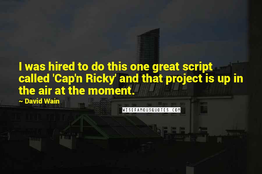 David Wain Quotes: I was hired to do this one great script called 'Cap'n Ricky' and that project is up in the air at the moment.