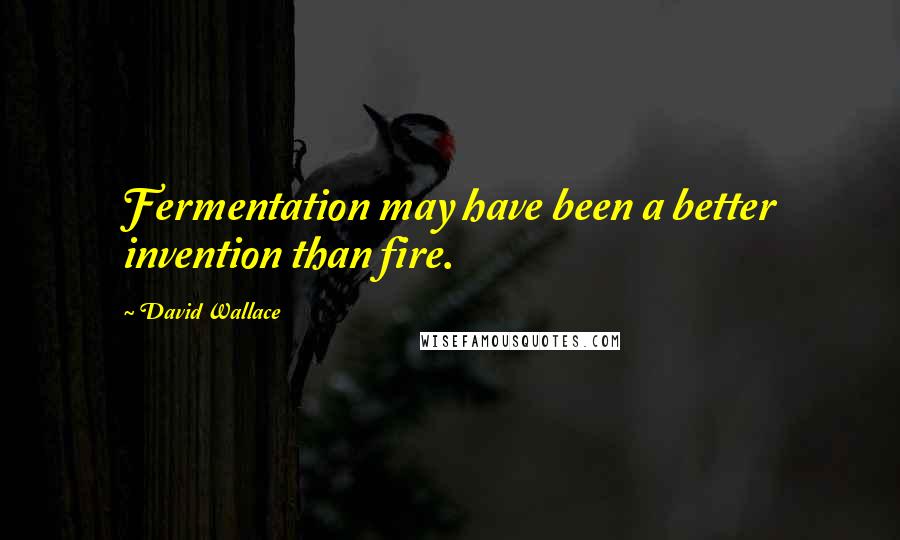 David Wallace Quotes: Fermentation may have been a better invention than fire.