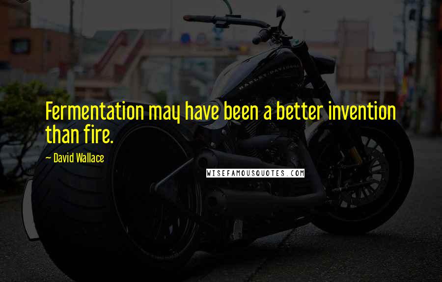 David Wallace Quotes: Fermentation may have been a better invention than fire.