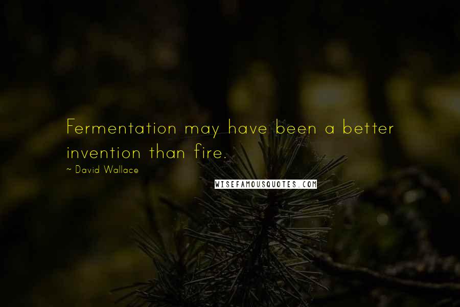 David Wallace Quotes: Fermentation may have been a better invention than fire.