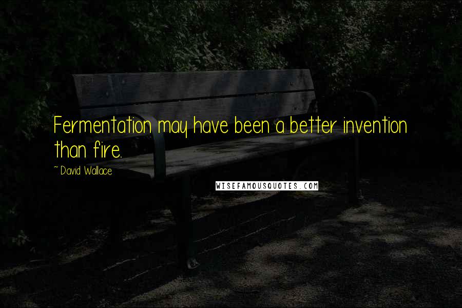David Wallace Quotes: Fermentation may have been a better invention than fire.