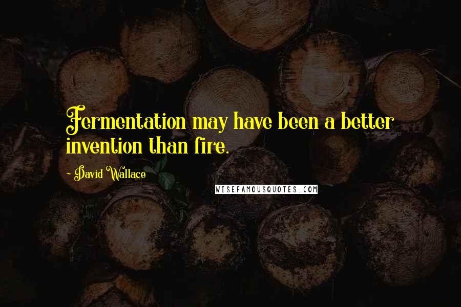 David Wallace Quotes: Fermentation may have been a better invention than fire.