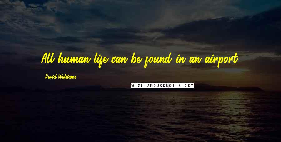 David Walliams Quotes: All human life can be found in an airport.