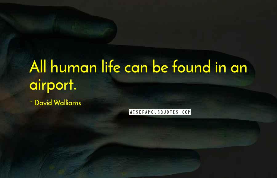 David Walliams Quotes: All human life can be found in an airport.