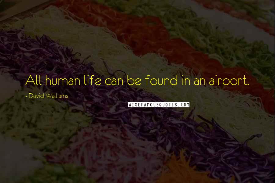 David Walliams Quotes: All human life can be found in an airport.