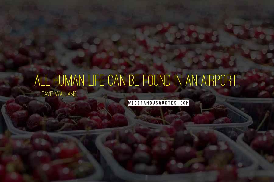 David Walliams Quotes: All human life can be found in an airport.