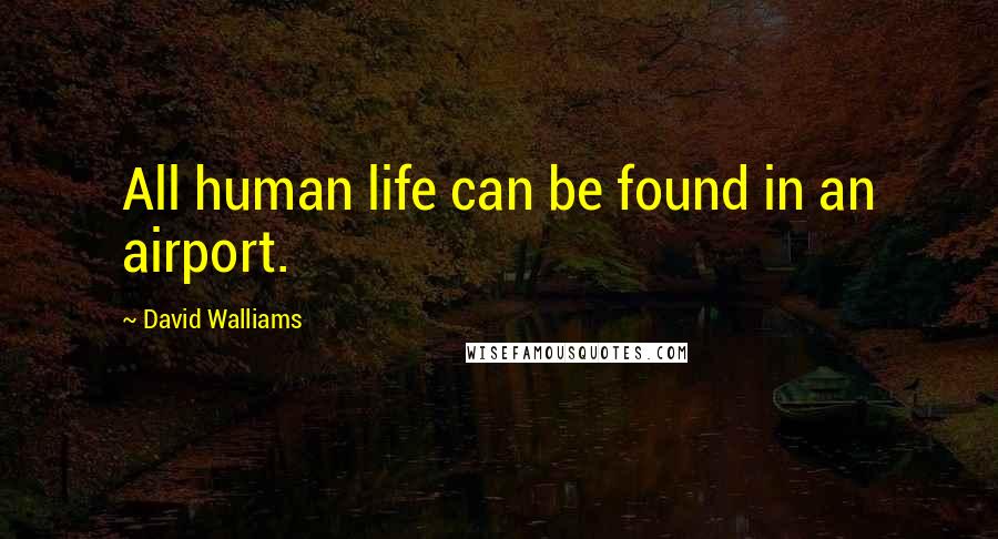 David Walliams Quotes: All human life can be found in an airport.