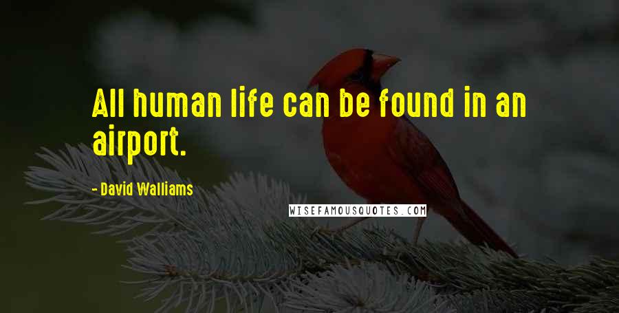 David Walliams Quotes: All human life can be found in an airport.