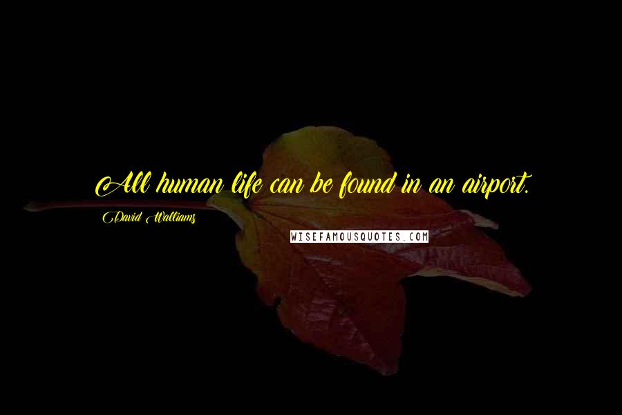 David Walliams Quotes: All human life can be found in an airport.