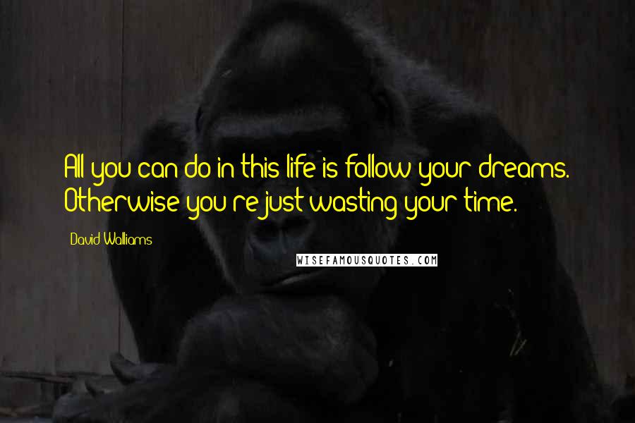 David Walliams Quotes: All you can do in this life is follow your dreams. Otherwise you're just wasting your time.