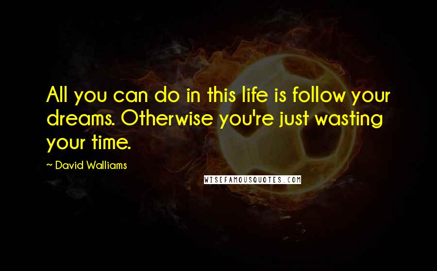 David Walliams Quotes: All you can do in this life is follow your dreams. Otherwise you're just wasting your time.