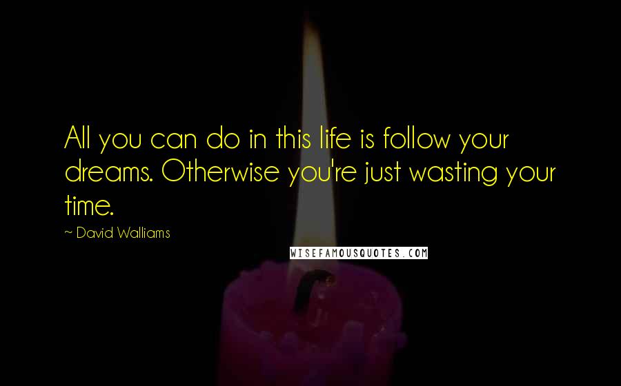 David Walliams Quotes: All you can do in this life is follow your dreams. Otherwise you're just wasting your time.