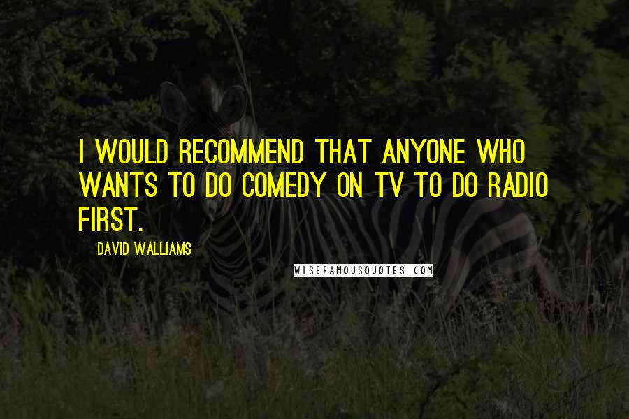 David Walliams Quotes: I would recommend that anyone who wants to do comedy on TV to do radio first.