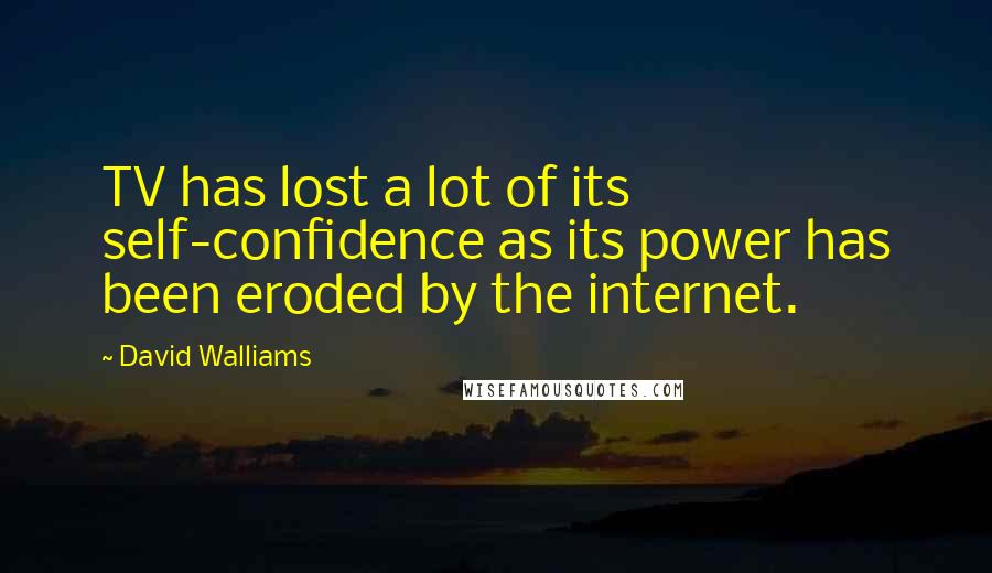 David Walliams Quotes: TV has lost a lot of its self-confidence as its power has been eroded by the internet.