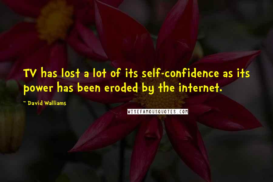 David Walliams Quotes: TV has lost a lot of its self-confidence as its power has been eroded by the internet.