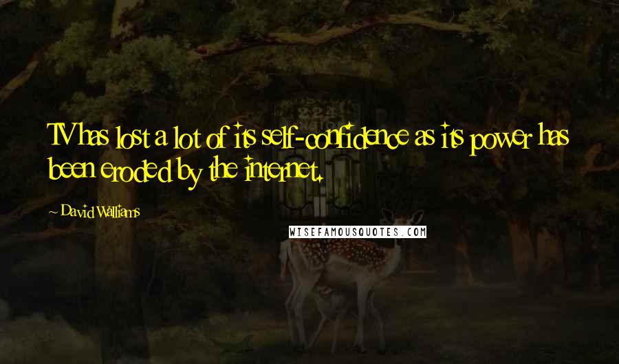 David Walliams Quotes: TV has lost a lot of its self-confidence as its power has been eroded by the internet.