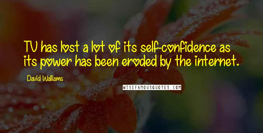 David Walliams Quotes: TV has lost a lot of its self-confidence as its power has been eroded by the internet.