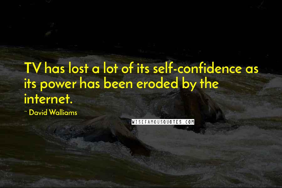 David Walliams Quotes: TV has lost a lot of its self-confidence as its power has been eroded by the internet.