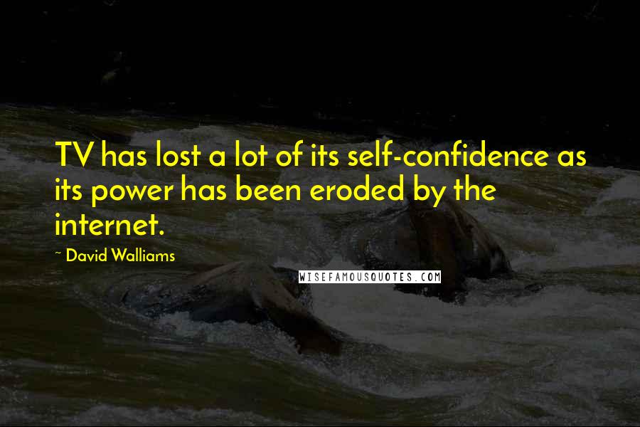 David Walliams Quotes: TV has lost a lot of its self-confidence as its power has been eroded by the internet.
