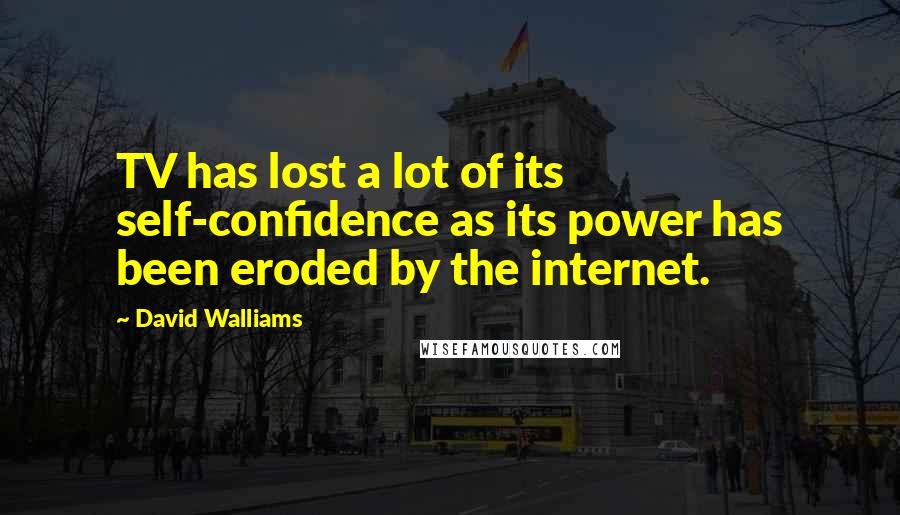 David Walliams Quotes: TV has lost a lot of its self-confidence as its power has been eroded by the internet.