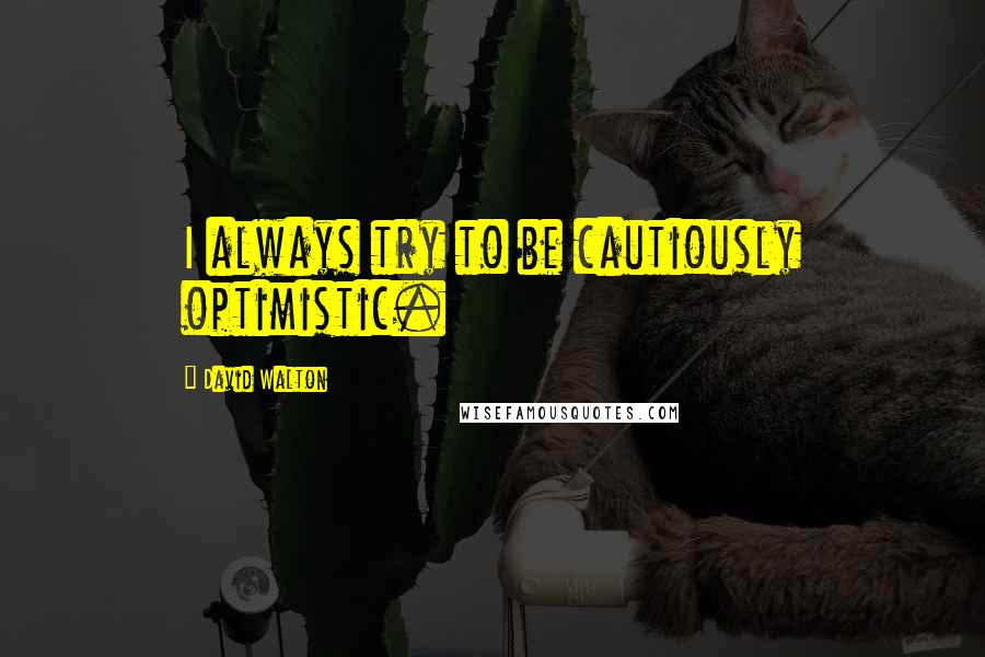 David Walton Quotes: I always try to be cautiously optimistic.