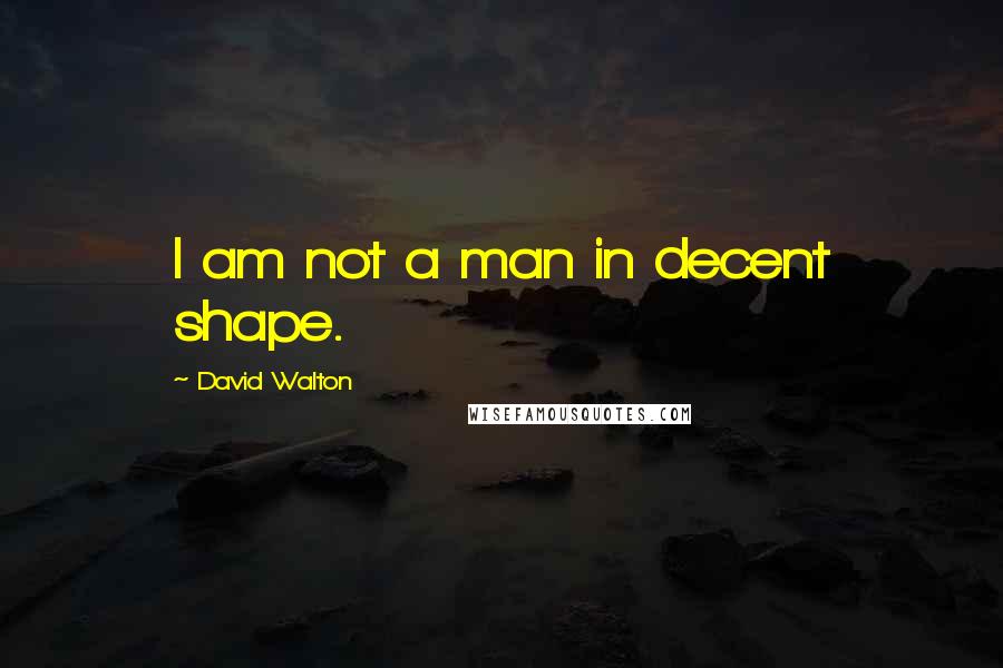 David Walton Quotes: I am not a man in decent shape.