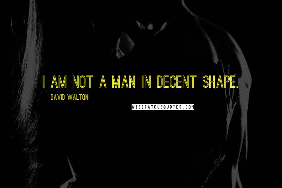 David Walton Quotes: I am not a man in decent shape.