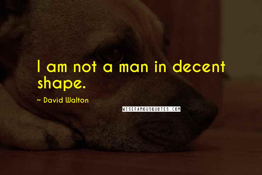 David Walton Quotes: I am not a man in decent shape.