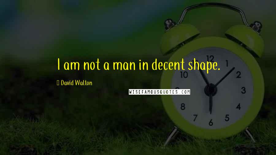 David Walton Quotes: I am not a man in decent shape.