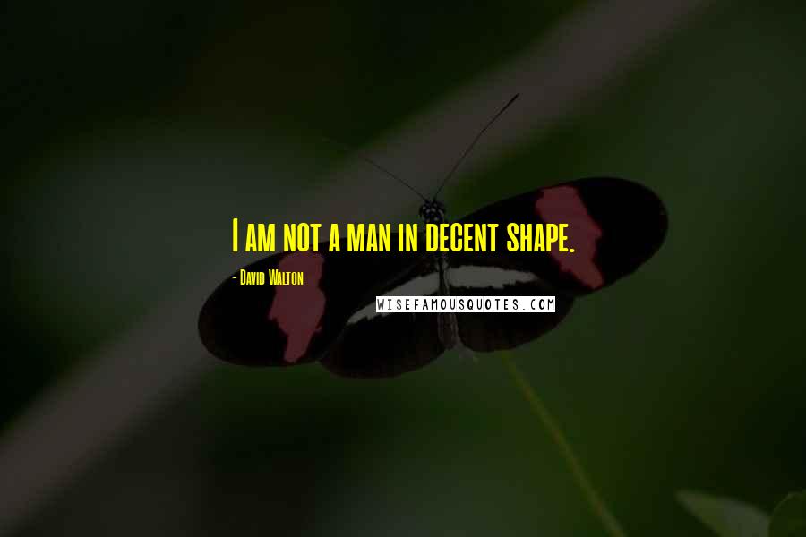 David Walton Quotes: I am not a man in decent shape.