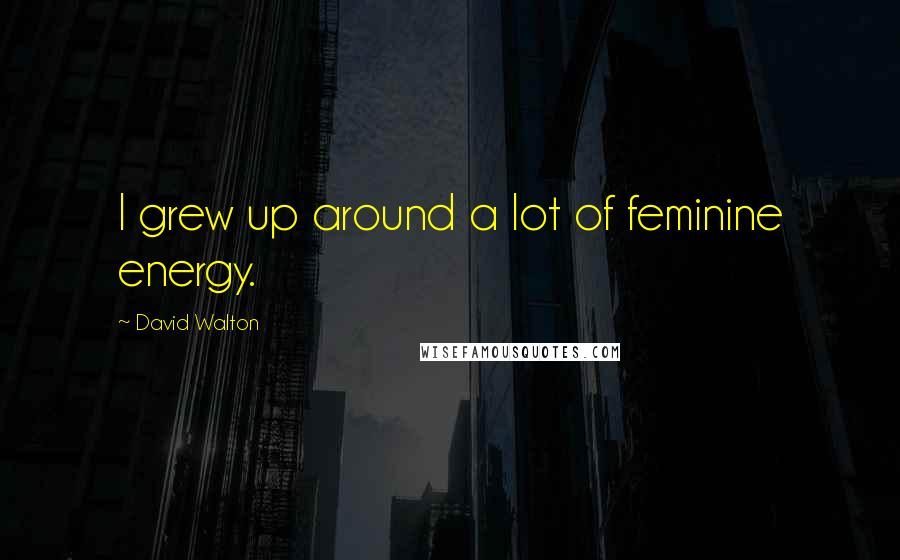David Walton Quotes: I grew up around a lot of feminine energy.