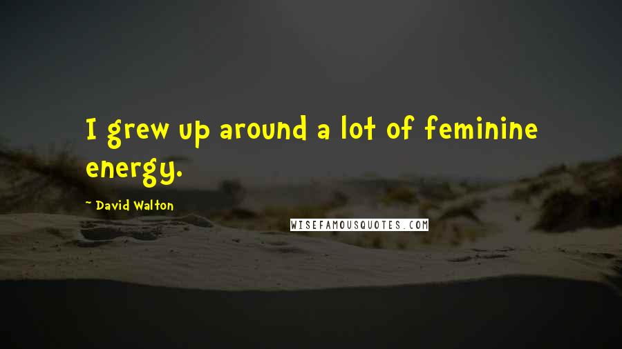 David Walton Quotes: I grew up around a lot of feminine energy.