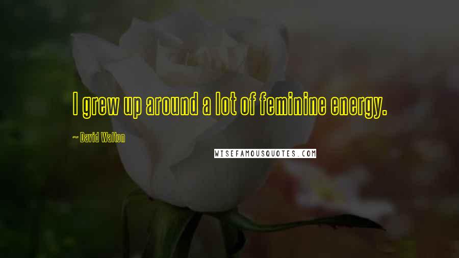 David Walton Quotes: I grew up around a lot of feminine energy.