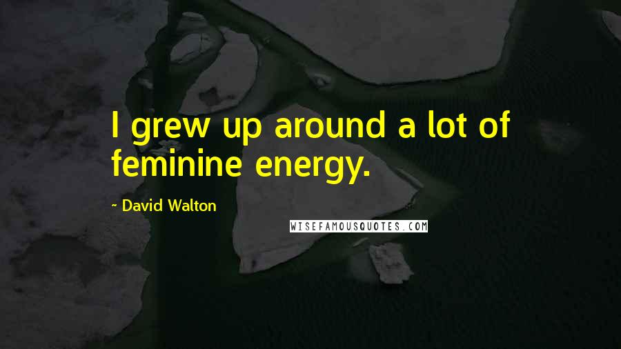 David Walton Quotes: I grew up around a lot of feminine energy.