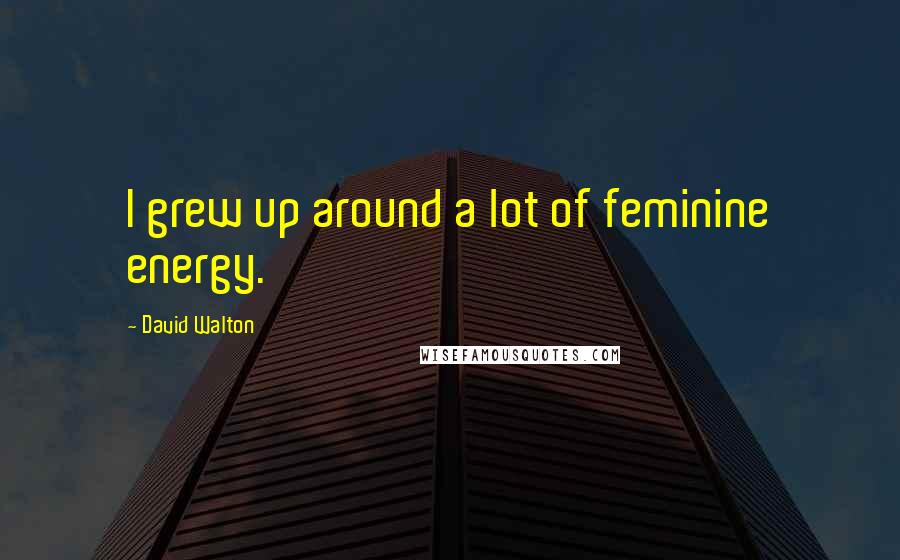 David Walton Quotes: I grew up around a lot of feminine energy.