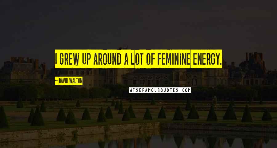 David Walton Quotes: I grew up around a lot of feminine energy.