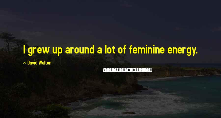 David Walton Quotes: I grew up around a lot of feminine energy.