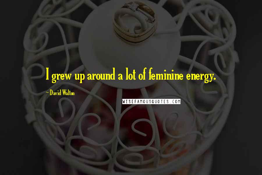David Walton Quotes: I grew up around a lot of feminine energy.