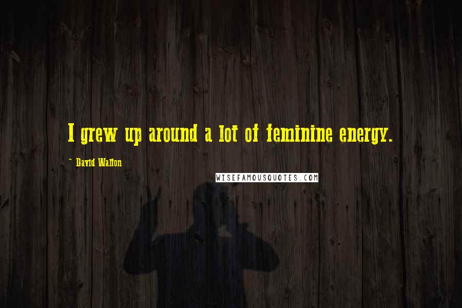 David Walton Quotes: I grew up around a lot of feminine energy.
