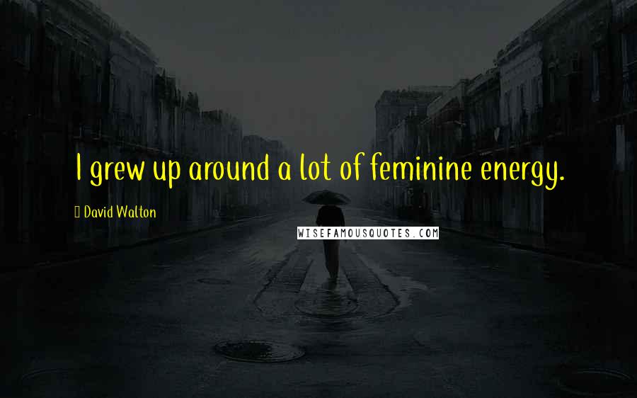 David Walton Quotes: I grew up around a lot of feminine energy.