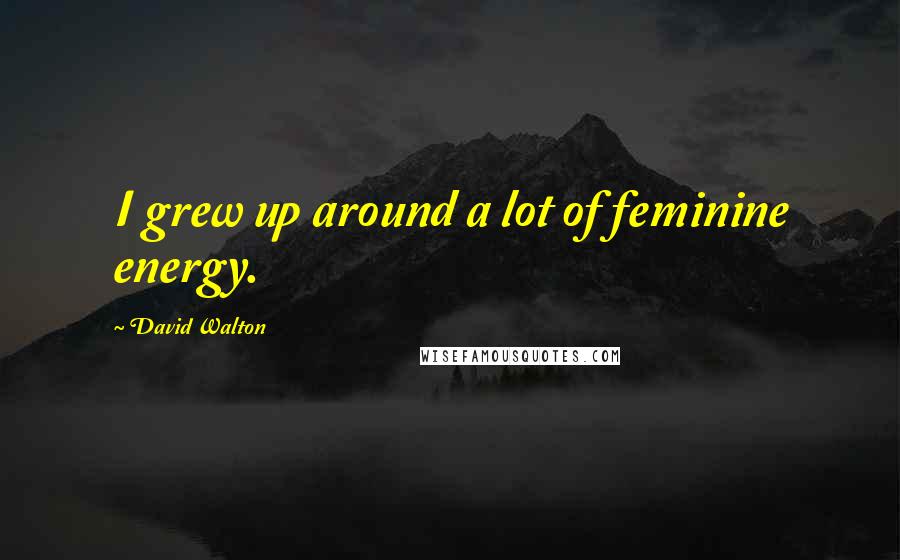 David Walton Quotes: I grew up around a lot of feminine energy.