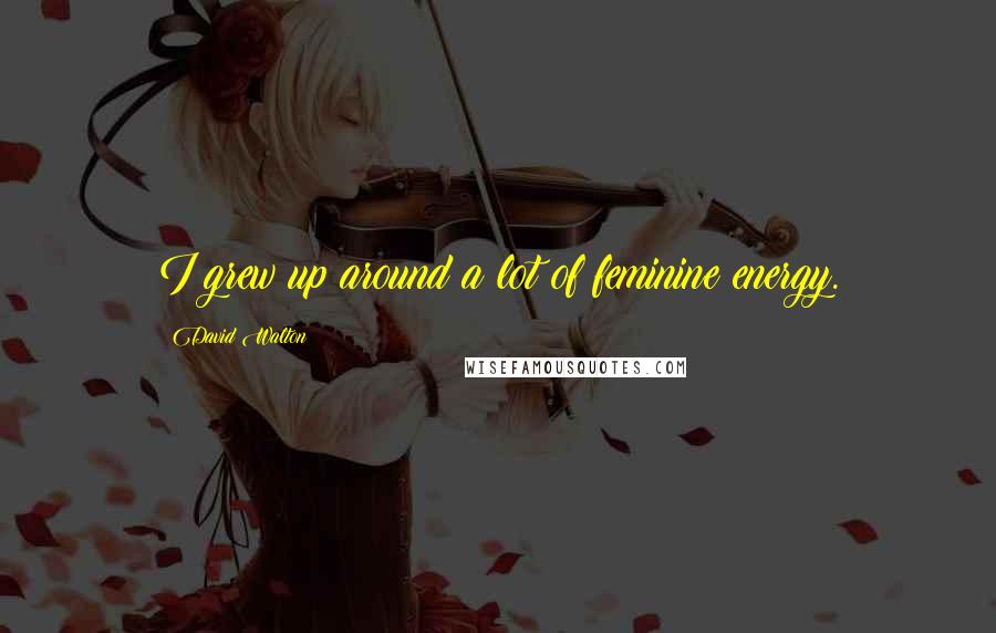 David Walton Quotes: I grew up around a lot of feminine energy.