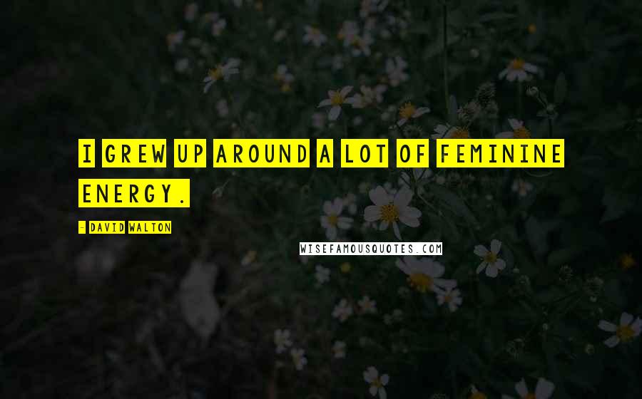 David Walton Quotes: I grew up around a lot of feminine energy.