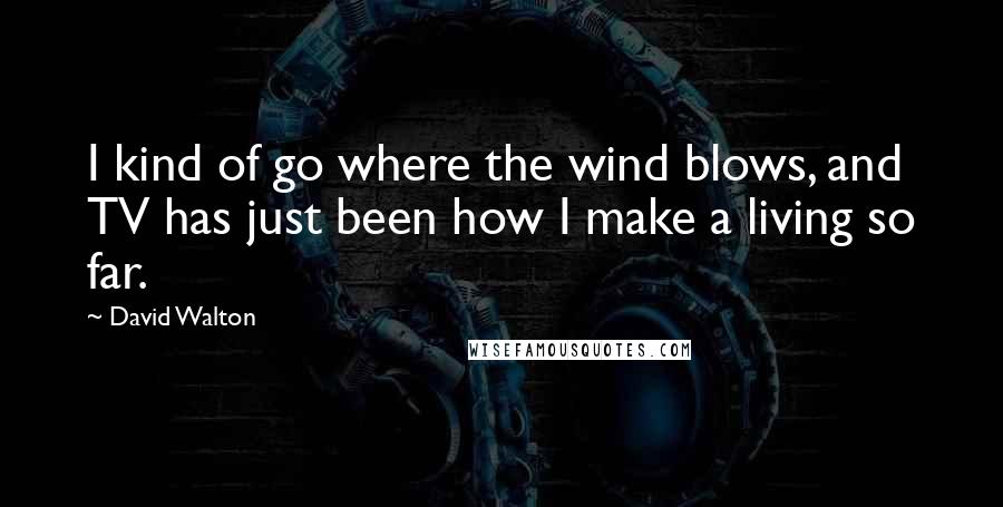 David Walton Quotes: I kind of go where the wind blows, and TV has just been how I make a living so far.