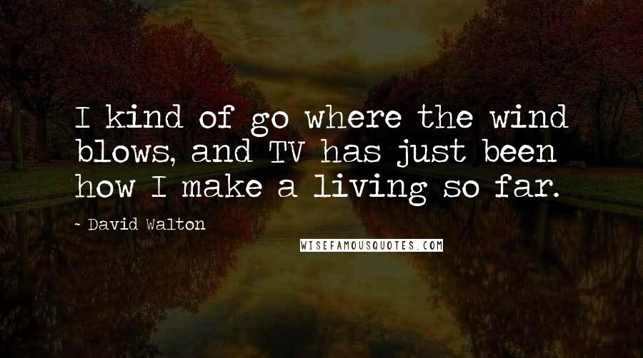 David Walton Quotes: I kind of go where the wind blows, and TV has just been how I make a living so far.