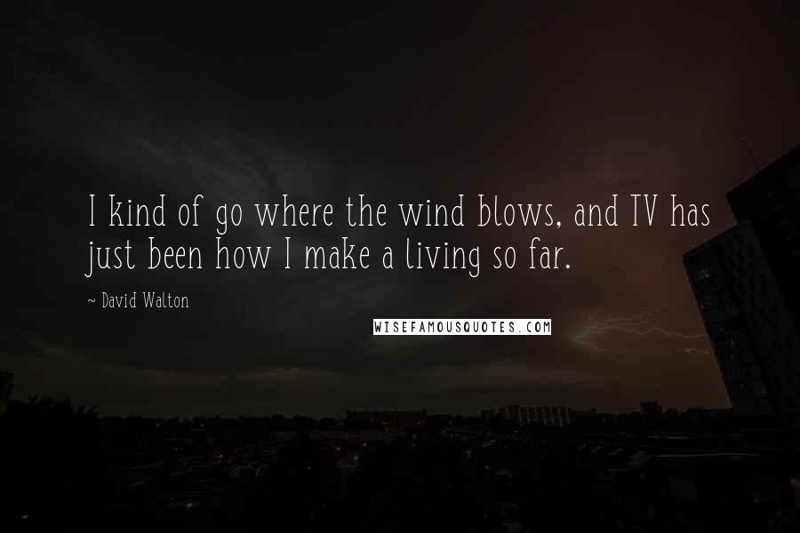 David Walton Quotes: I kind of go where the wind blows, and TV has just been how I make a living so far.