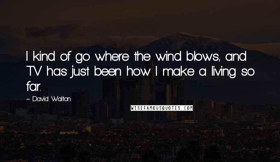 David Walton Quotes: I kind of go where the wind blows, and TV has just been how I make a living so far.