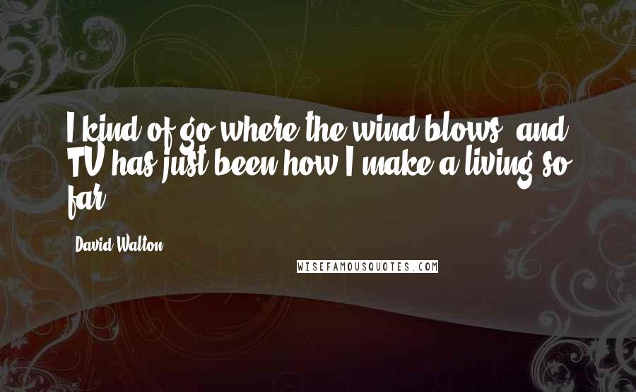 David Walton Quotes: I kind of go where the wind blows, and TV has just been how I make a living so far.