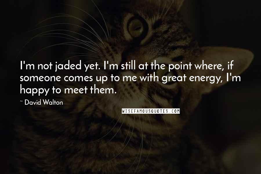 David Walton Quotes: I'm not jaded yet. I'm still at the point where, if someone comes up to me with great energy, I'm happy to meet them.